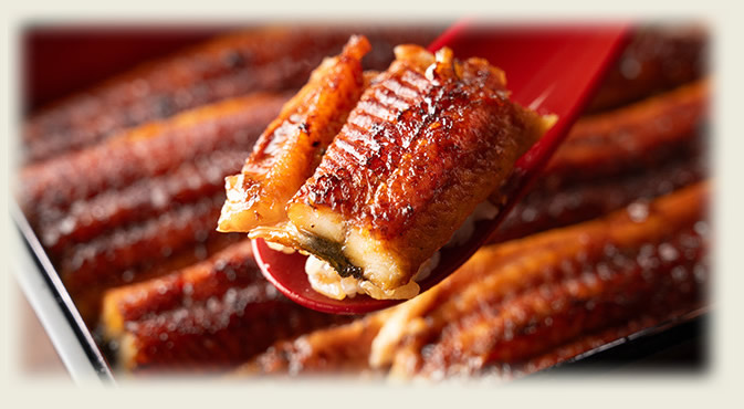 ���Ȃ��T��